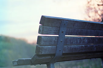 Close-up of weathered wooden park bench against blurred nature background