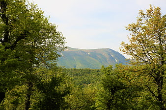 Green Mountain Landscape Framed by Spring Trees