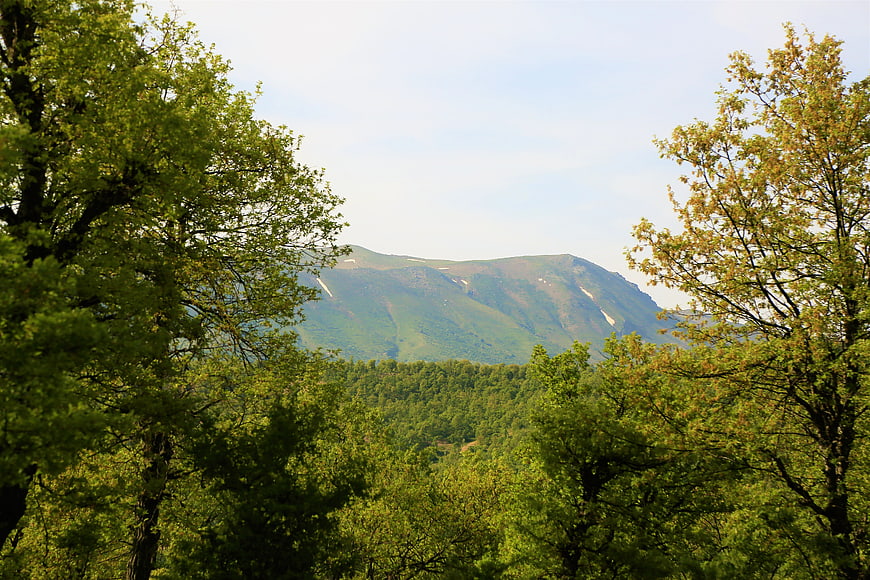Green Mountain Landscape Framed by Spring Trees
