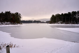 Frozen Lake Landscape with Snowy Banks and Pine Trees