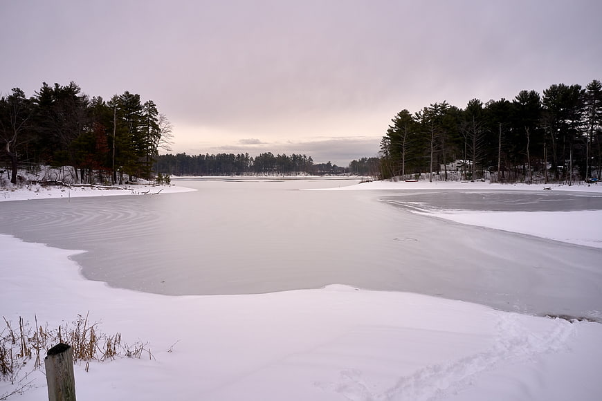 Frozen Lake Landscape with Snowy Banks and Pine Trees