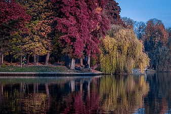 Vibrant Autumn Trees Reflecting in a Calm Lake