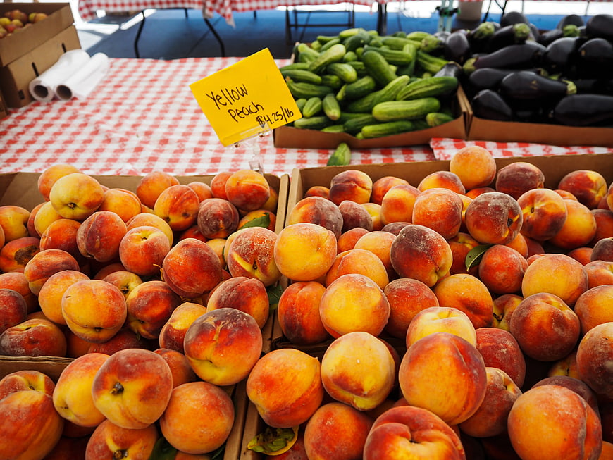Fresh Yellow Peaches at Farmers Market with Price Sign