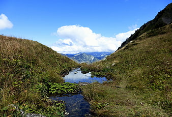 Alpine Stream Flowing Through Grassy Mountain Valley
