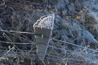 Frosty wooden fence post with wire in winter morning