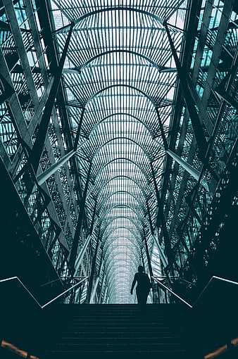 Silhouette of person walking up stairs in modern glass architecture