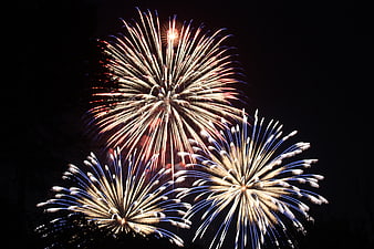 Fireworks Display Against Black Night Sky