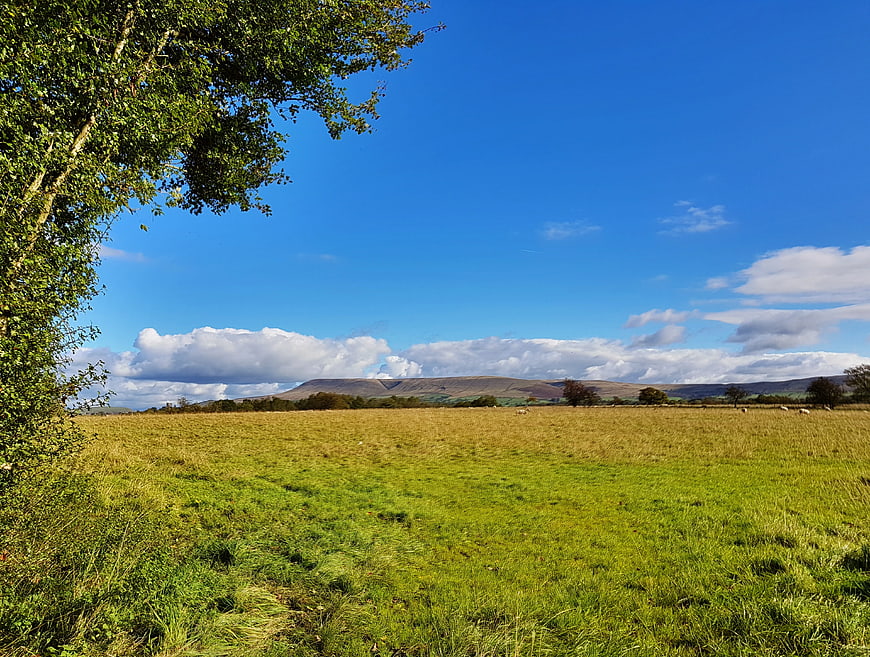 Serene Green Pasture with Distant Hills and Blue Sky
