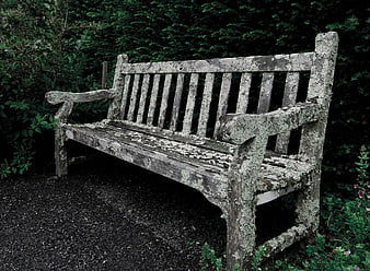 Weathered Wooden Bench in Garden
