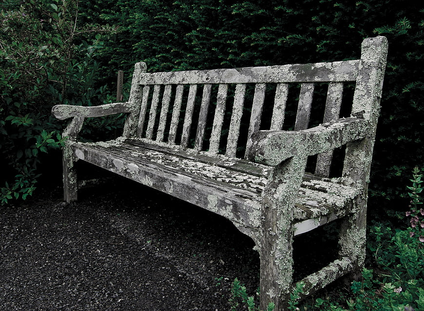 Weathered Wooden Bench in Garden