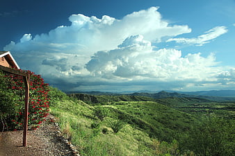 Scenic Green Hills and Dramatic Clouds with Red Flowers