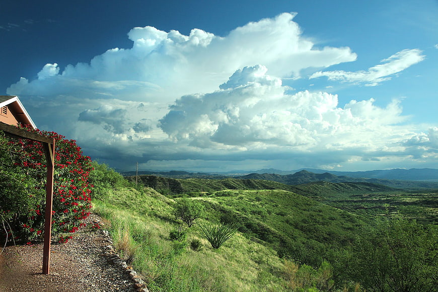Scenic Green Hills and Dramatic Clouds with Red Flowers