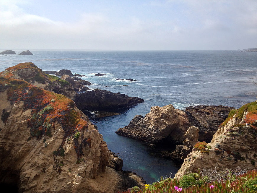 Rugged coastal cliffs with wildflowers overlooking the Pacific Ocean