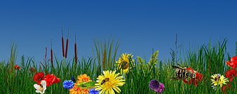 Colorful Summer Meadow with Wildflowers and Bees