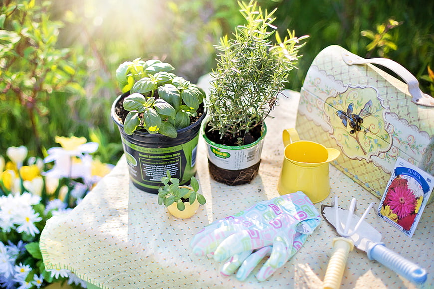 Gardening Tools And Herb Plants On Garden Table