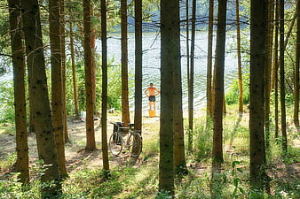 Man standing on bucket fishing in lake through pine trees