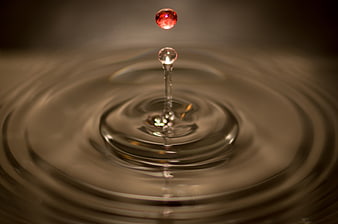 Red liquid drop splashing into water with ripples