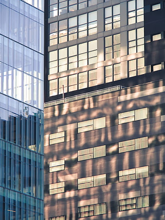 Modern Glass Office Building Facade with Shadows