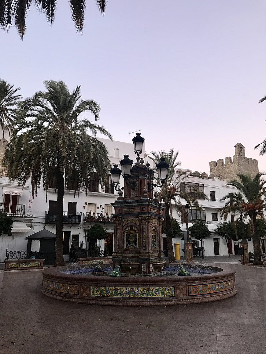 Ornate tiled fountain in Spanish plaza with palm trees