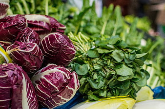 Fresh Radicchio and Green Vegetables at Farmers Market