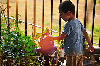 Young Asian boy watering potted plants on a sunny balcony