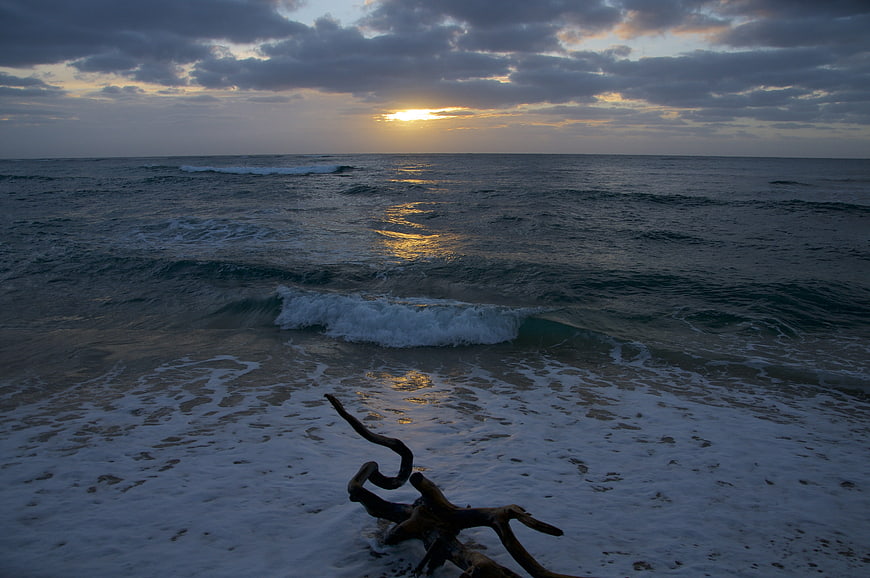 Dramatic Sunset Over Ocean Waves with Driftwood Foreground