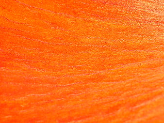 Vibrant Orange Textured Surface Background