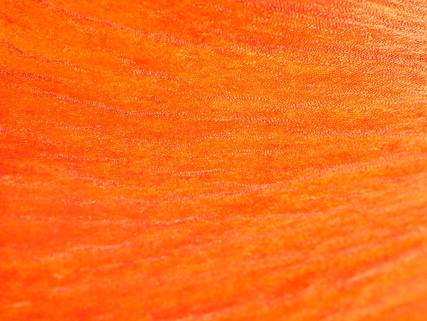 Vibrant Orange Textured Surface Background