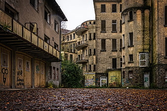 Abandoned Dilapidated Building Courtyard with Autumn Leaves