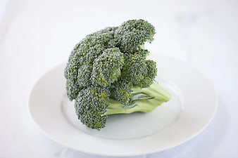 Fresh raw broccoli head on white plate