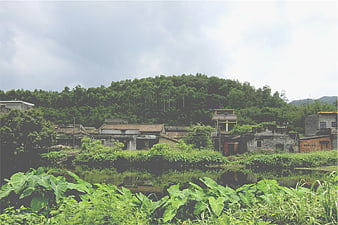 Rural village with pond and lush green forest background