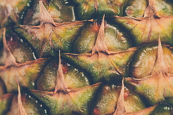 Macro Close-Up of Pineapple Skin Texture and Pattern