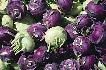 Fresh Purple and White Kohlrabi Vegetables Pile
