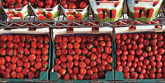 Fresh red strawberries in cardboard boxes at market
