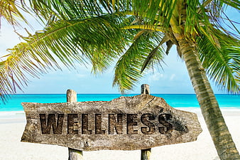 Wooden Wellness Sign on Tropical Beach with Palm Tree