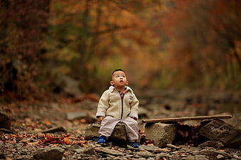 Toddler Boy Sitting on Rock in Autumn Forest