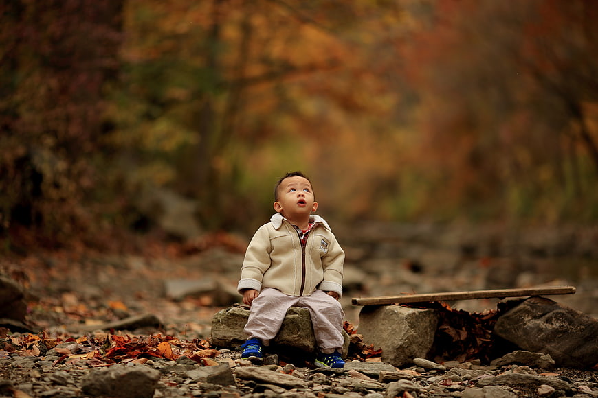 Toddler Boy Sitting on Rock in Autumn Forest