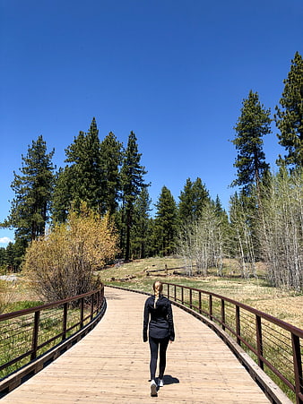 Woman Walking Away on Wooden Boardwalk in Forest
