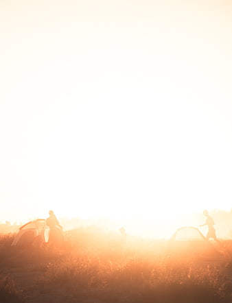 Silhouettes of campers in golden sunrise light