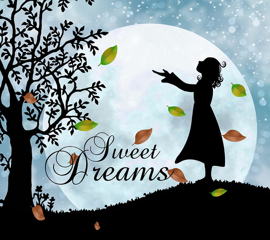 Silhouette of Girl Reaching for Moon with Sweet Dreams Text