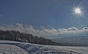 Sunny Winter Landscape with Snowy Forest and Mountains