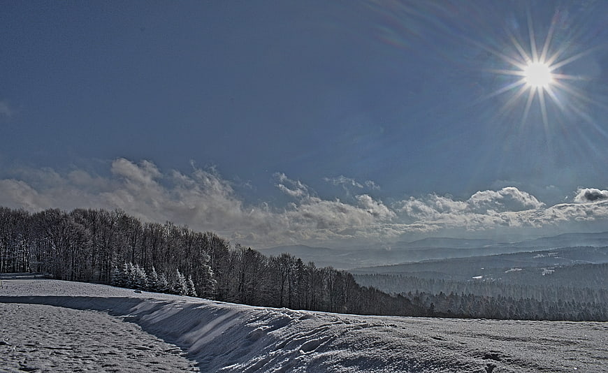 Sunny Winter Landscape with Snowy Forest and Mountains