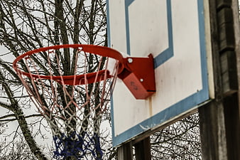 Outdoor basketball hoop with red rim and net against bare trees