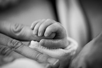 Close-up of baby hand holding adult finger in black and white