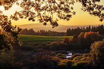 Autumn Landscape at Golden Hour with Silhouetted Tree Branches