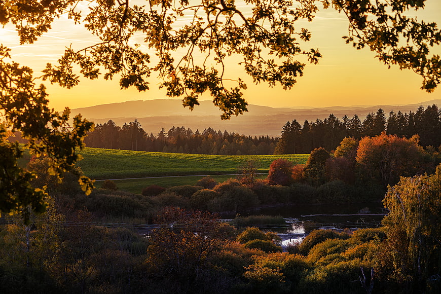 Autumn Landscape at Golden Hour with Silhouetted Tree Branches