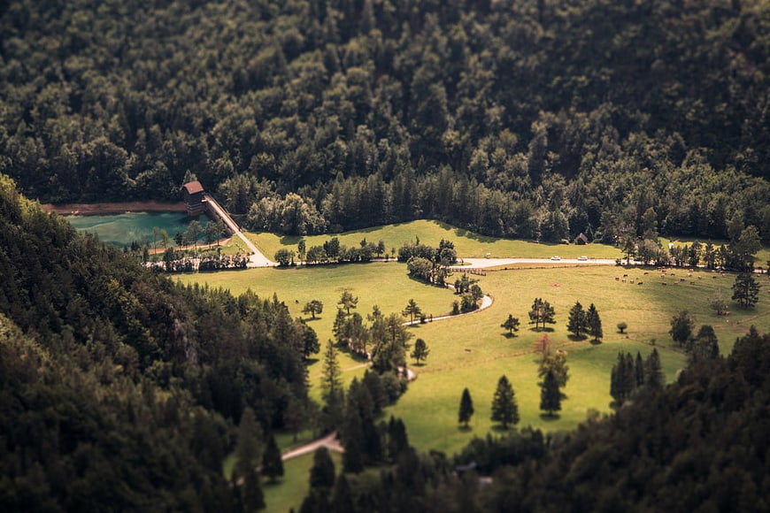 Aerial View of Lush Green Valley Meadow and Forest
