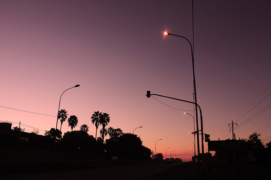 Silhouette of Palm Trees and Streetlights Against Purple Sunset Sky