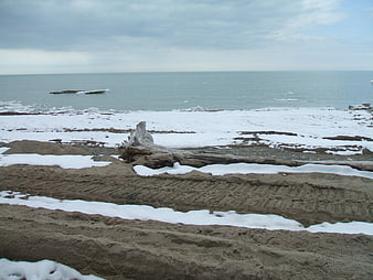 Snowy winter beach with driftwood and tire tracks