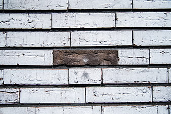 Single brown brick in white painted brick wall texture